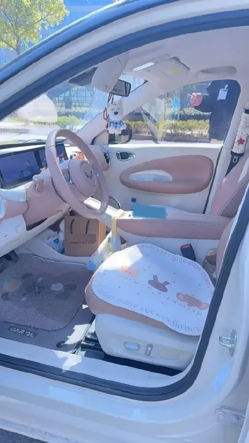 2025 WuLing BinGuo BEV,autocango,china used car exporter,china ev exporter,chinese used car exporter,chinese used ev exporter