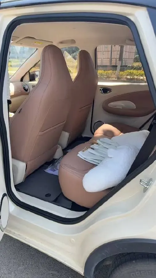 2025 WuLing BinGuo BEV,autocango,china used car exporter,china ev exporter,chinese used car exporter,chinese used ev exporter