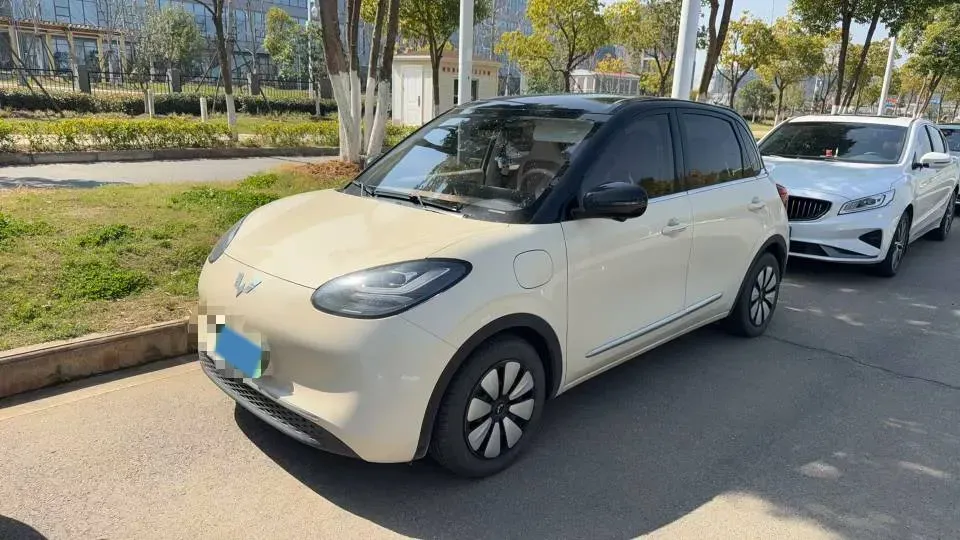 2025 WuLing BinGuo BEV,autocango,china used car exporter,china ev exporter,chinese used car exporter,chinese used ev exporter