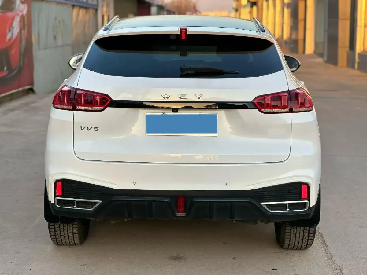 2021 WEY VV5 1.5T 171HP L4 7DCT,autocango,china used car exporter,china ev exporter,chinese used car exporter,chinese used ev exporter