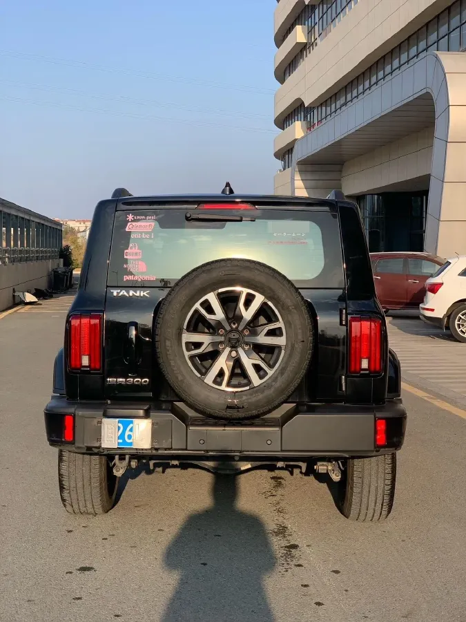 2023 Tank 300 2.0T 227HP L4 8AT,autocango,china used car exporter,china ev exporter,chinese used car exporter,chinese used ev exporter