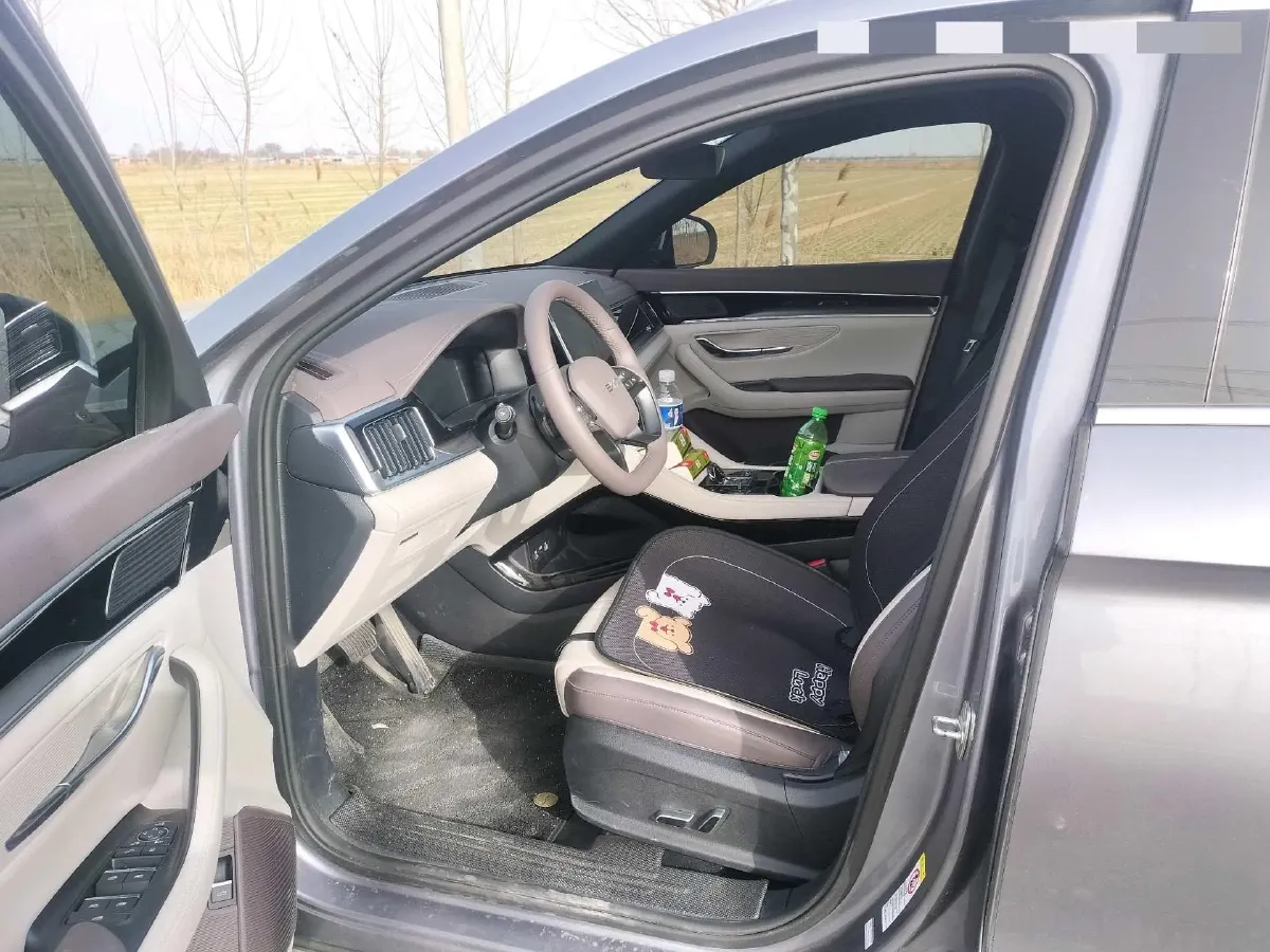 2025 BYD Song Plus 1.5L 101HP L4 E-CVT PHEV 18.3KWH,autocango,china used car exporter,china ev exporter,chinese used car exporter,chinese used ev exporter