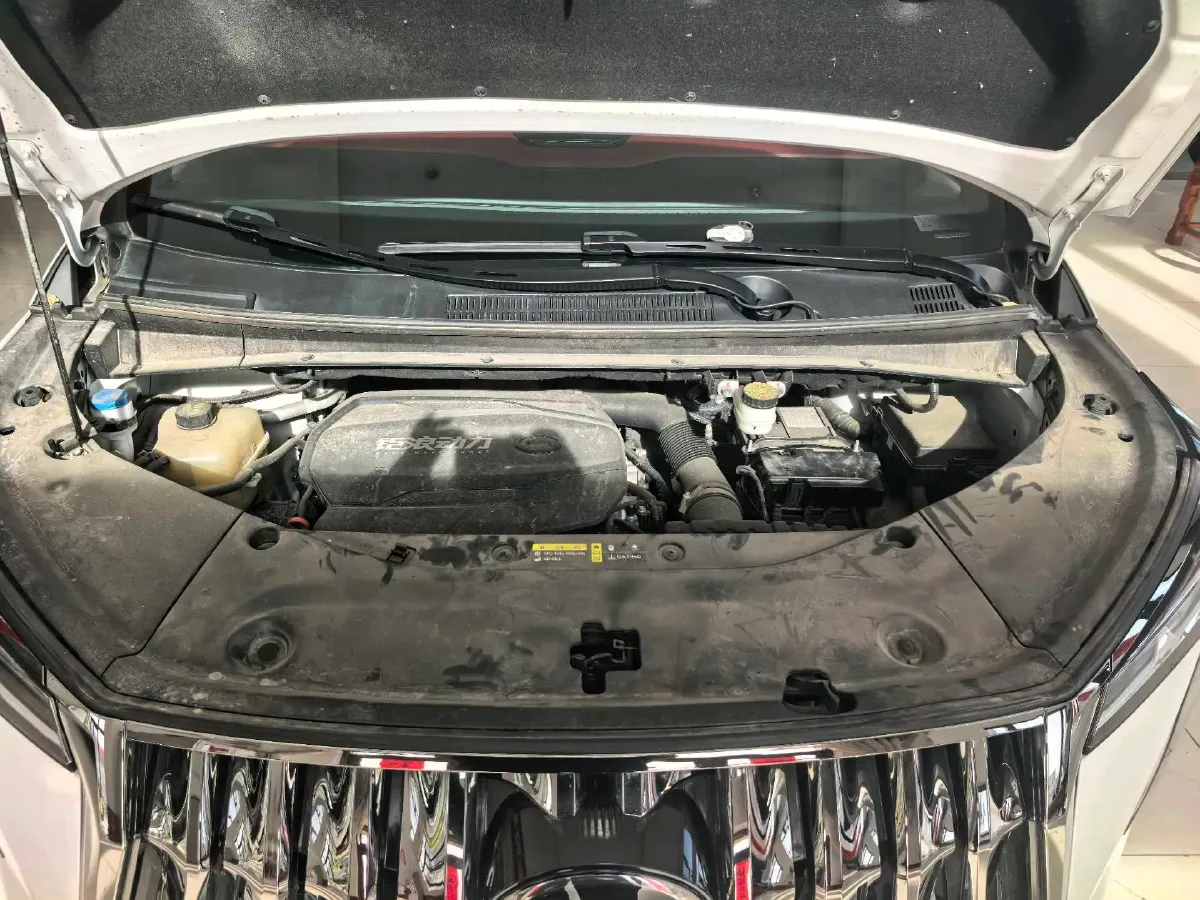 2024 GAC Trumpchi M8 2.0T 252HP L4 8AT,autocango,china used car exporter,china ev exporter,chinese used car exporter,chinese used ev exporter