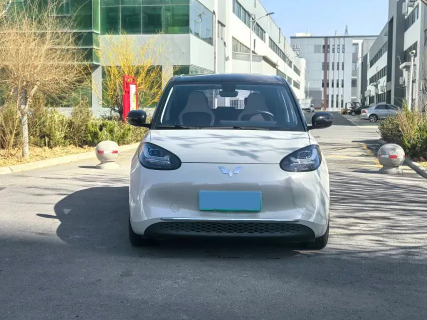 2023 WuLing BinGuo BEV 31.9KWH,autocango,china used car exporter,china ev exporter,chinese used car exporter,chinese used ev exporter