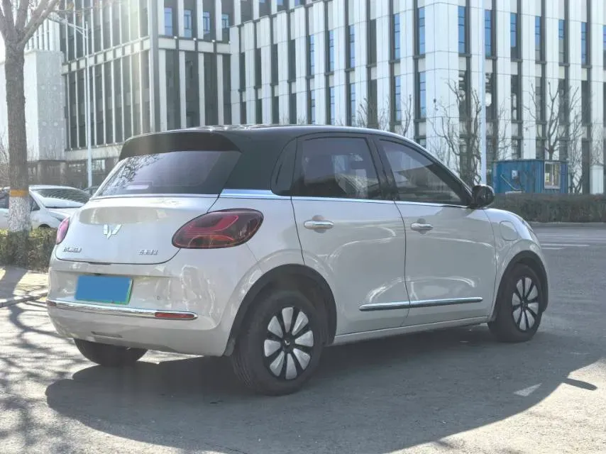 2023 WuLing BinGuo BEV 31.9KWH,autocango,china used car exporter,china ev exporter,chinese used car exporter,chinese used ev exporter