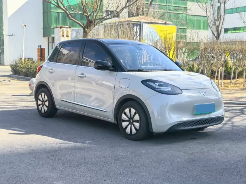 2023 WuLing BinGuo BEV 31.9KWH,autocango,china used car exporter,china ev exporter,chinese used car exporter,chinese used ev exporter