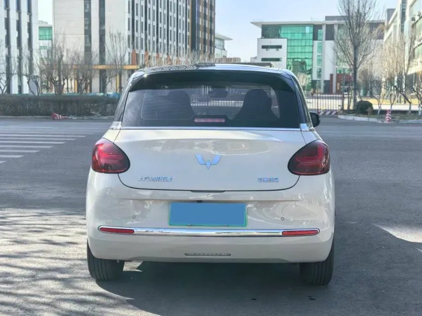 2023 WuLing BinGuo BEV 31.9KWH,autocango,china used car exporter,china ev exporter,chinese used car exporter,chinese used ev exporter