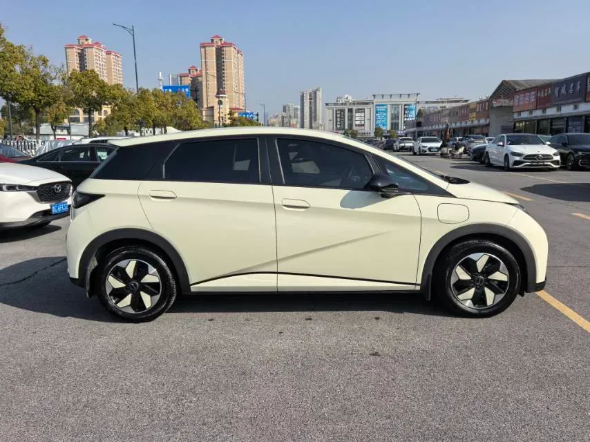 2024 BYD Dolphin BEV 44.928KWH,autocango,china used car exporter,china ev exporter,chinese used car exporter,chinese used ev exporter