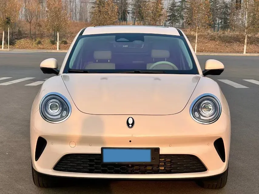 2025 Ora FunkyCat BEV,autocango,china used car exporter,china ev exporter,chinese used car exporter,chinese used ev exporter