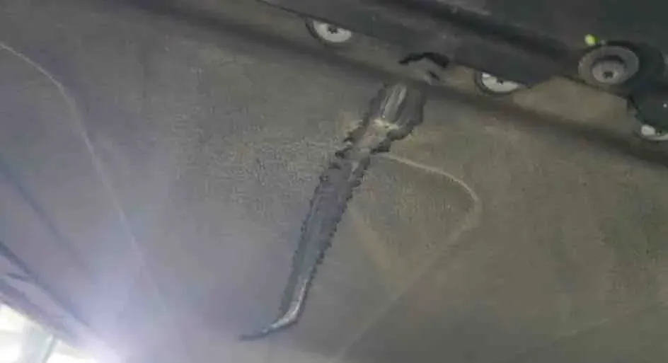 2024 MI SU7 BEV 73.6KWH,autocango,china used car exporter,china ev exporter,chinese used car exporter,chinese used ev exporter