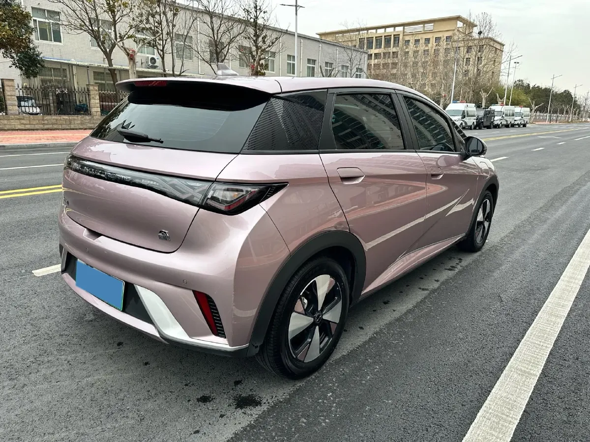 2023 BYD Dolphin BEV 44.928KWH,autocango,china used car exporter,china ev exporter,chinese used car exporter,chinese used ev exporter