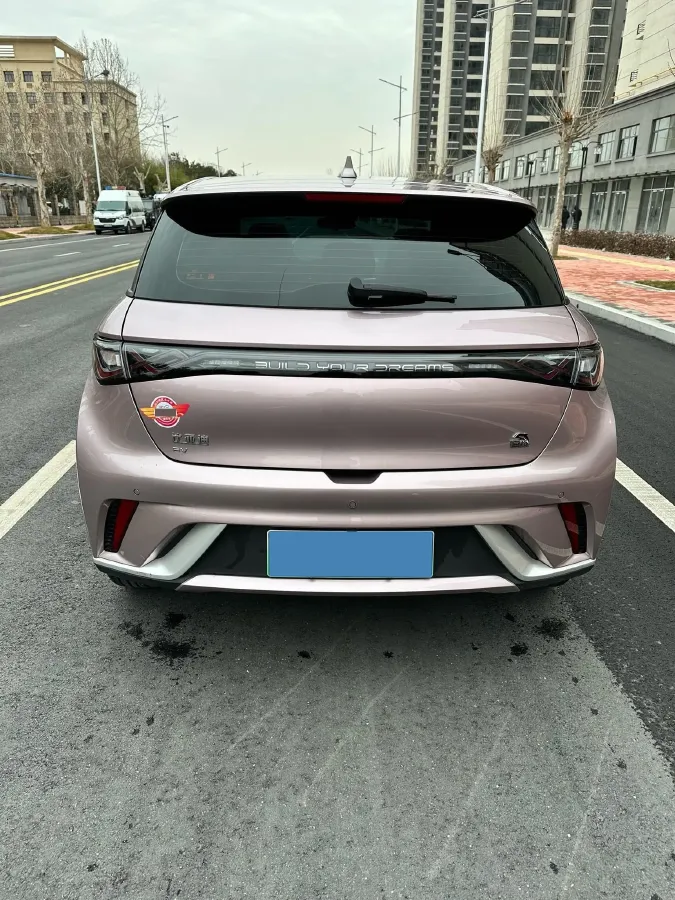 2023 BYD Dolphin BEV 44.928KWH,autocango,china used car exporter,china ev exporter,chinese used car exporter,chinese used ev exporter
