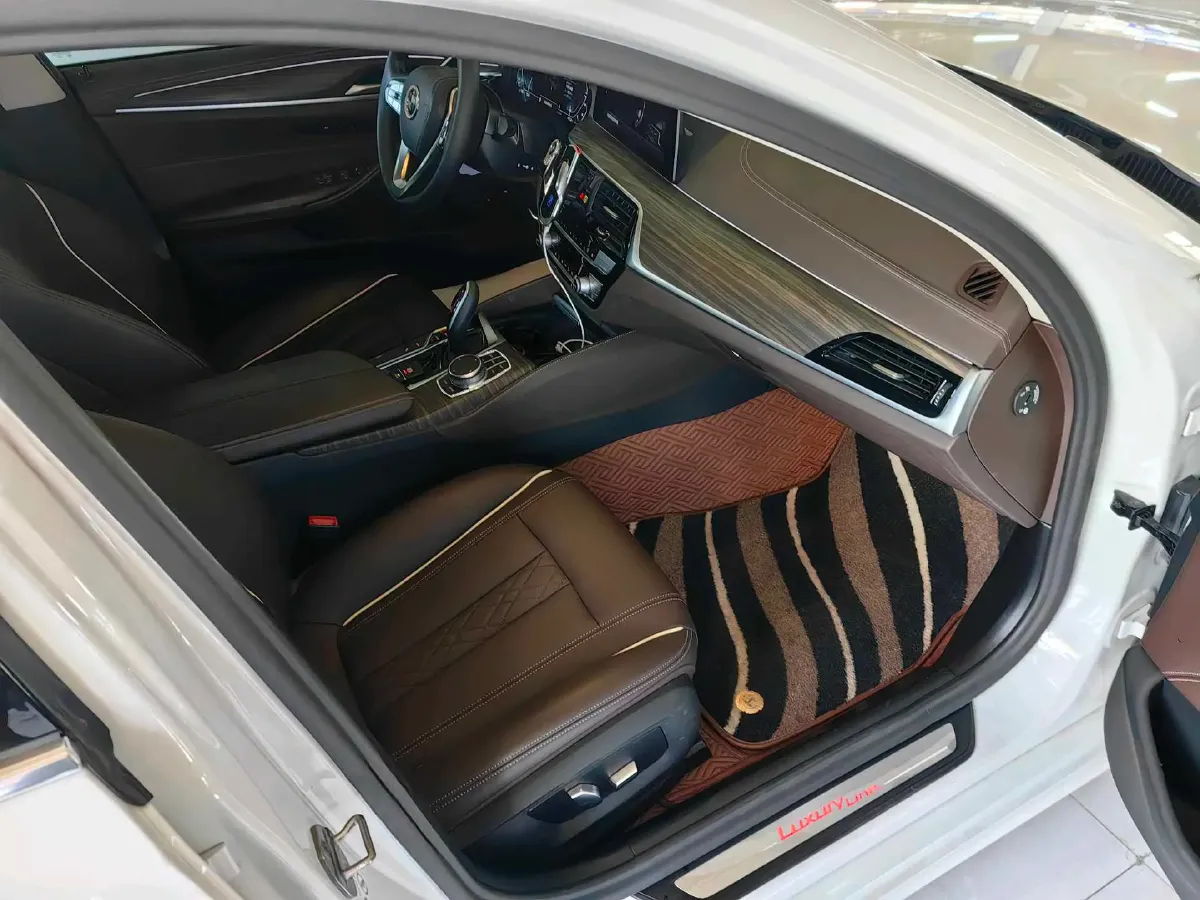 2020 BMW 5 Series 2.0T 184HP L4 8AT PHEV 17.7KWH,autocango,china used car exporter,china ev exporter,chinese used car exporter,chinese used ev exporter