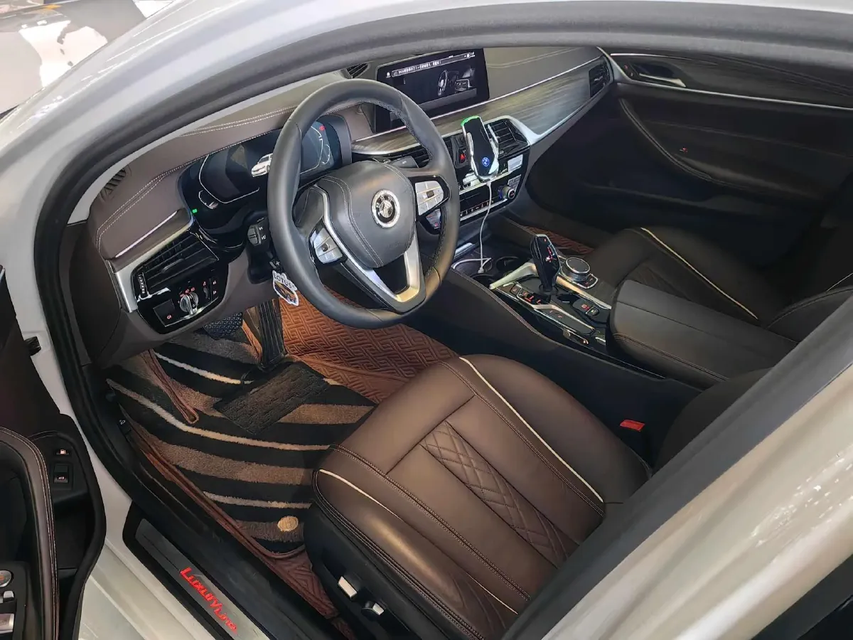 2020 BMW 5 Series 2.0T 184HP L4 8AT PHEV 17.7KWH,autocango,china used car exporter,china ev exporter,chinese used car exporter,chinese used ev exporter