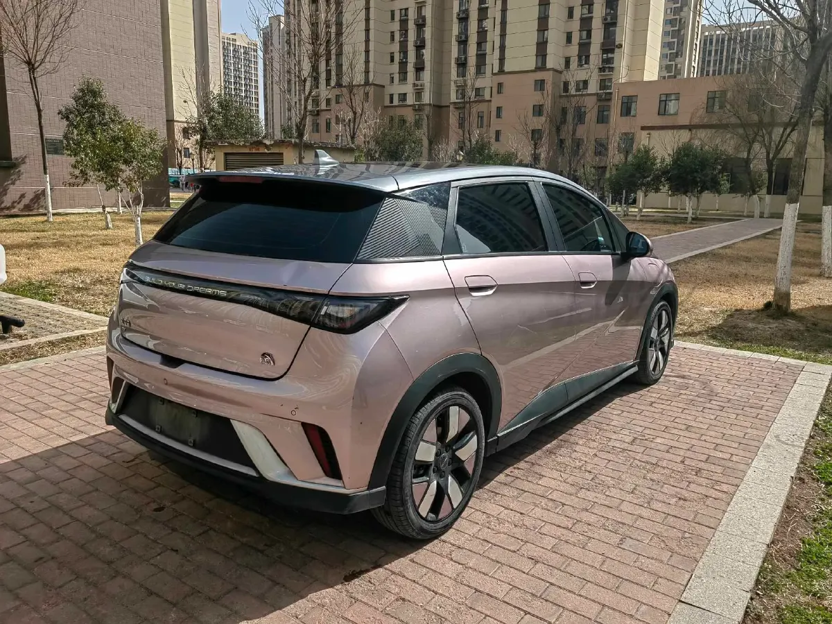 2021 BYD e2 BEV 43.2KWH,autocango,china used car exporter,china ev exporter,chinese used car exporter,chinese used ev exporter