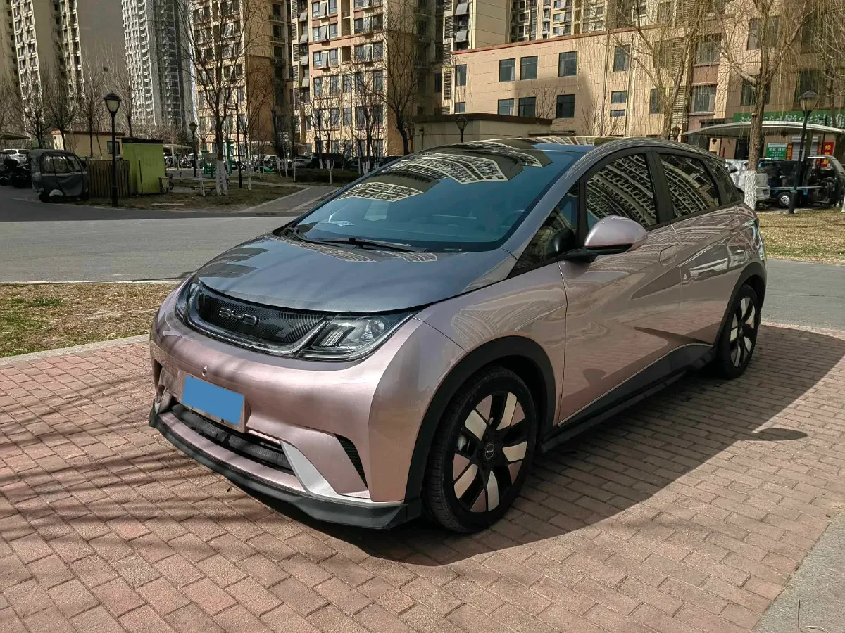 2021 BYD e2 BEV 43.2KWH,autocango,china used car exporter,china ev exporter,chinese used car exporter,chinese used ev exporter