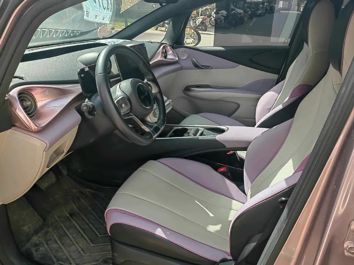 2021 BYD e2 BEV 43.2KWH,autocango,china used car exporter,china ev exporter,chinese used car exporter,chinese used ev exporter