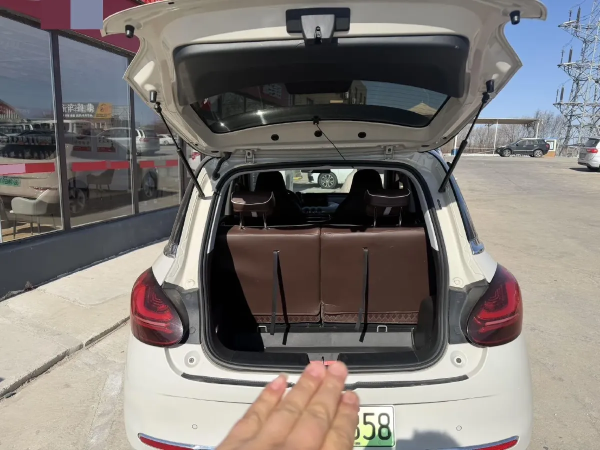 2023 WuLing BinGuo BEV 37.9KWH,autocango,china used car exporter,china ev exporter,chinese used car exporter,chinese used ev exporter