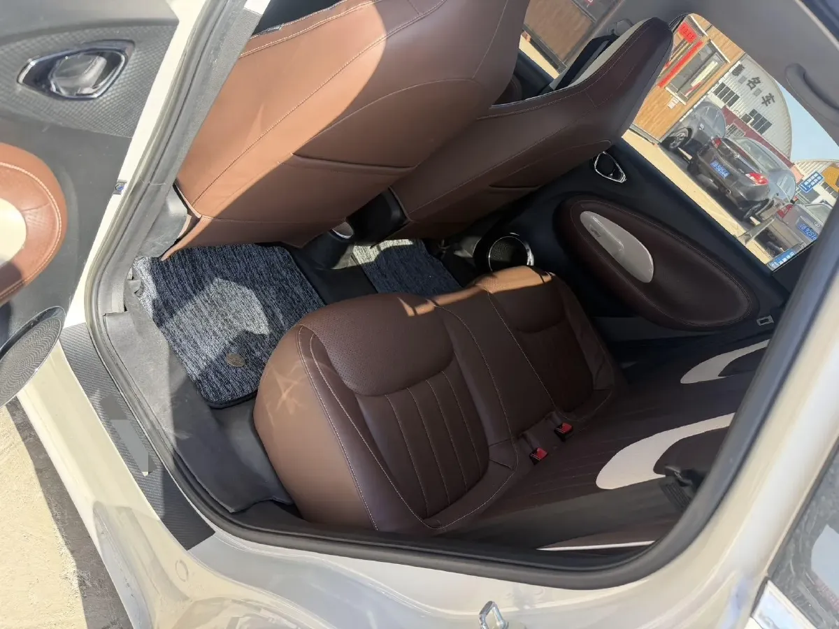 2023 WuLing BinGuo BEV 37.9KWH,autocango,china used car exporter,china ev exporter,chinese used car exporter,chinese used ev exporter