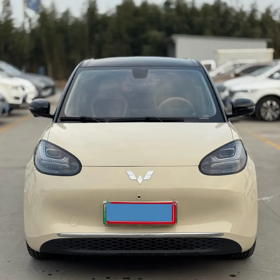 2025 WuLing BinGuo BEV,autocango,china used car exporter,china ev exporter,chinese used car exporter,chinese used ev exporter