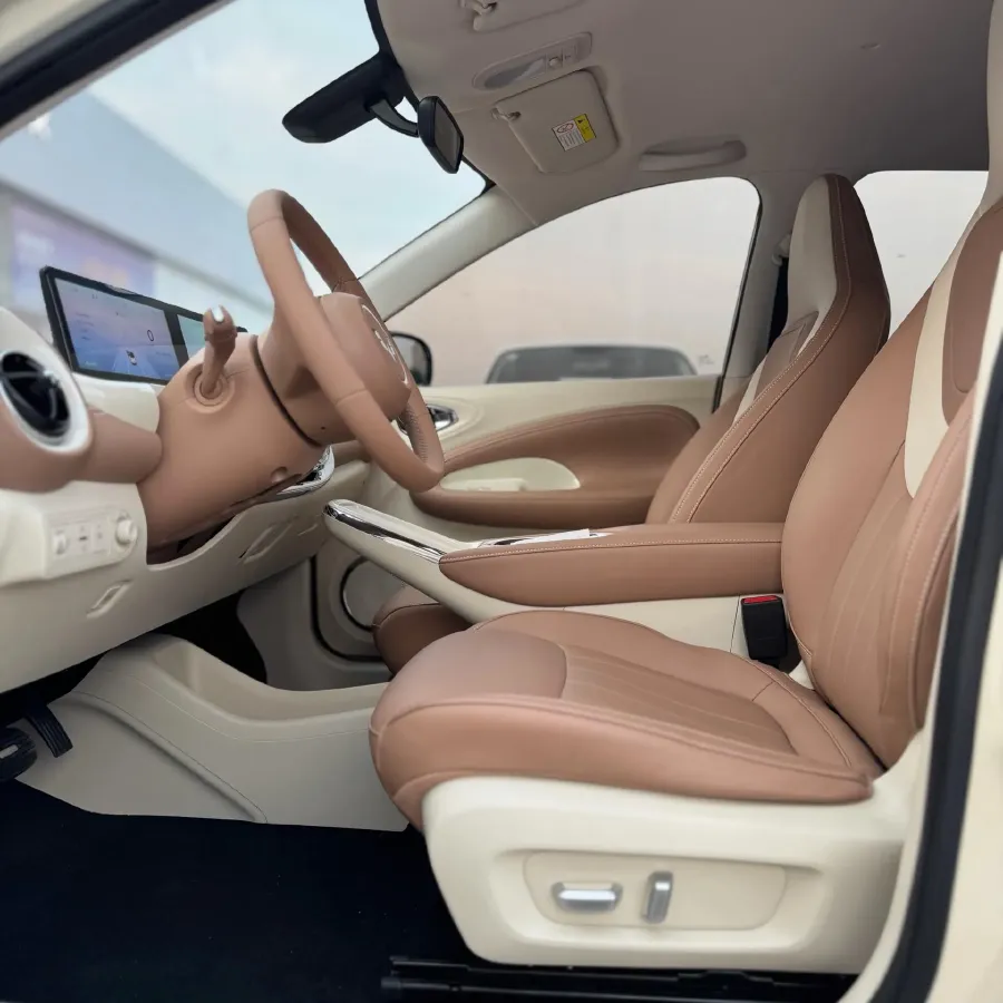 2025 WuLing BinGuo BEV,autocango,china used car exporter,china ev exporter,chinese used car exporter,chinese used ev exporter