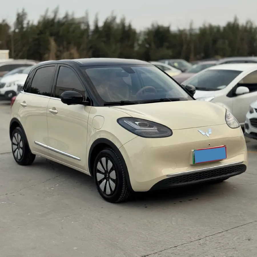 2025 WuLing BinGuo BEV,autocango,china used car exporter,china ev exporter,chinese used car exporter,chinese used ev exporter