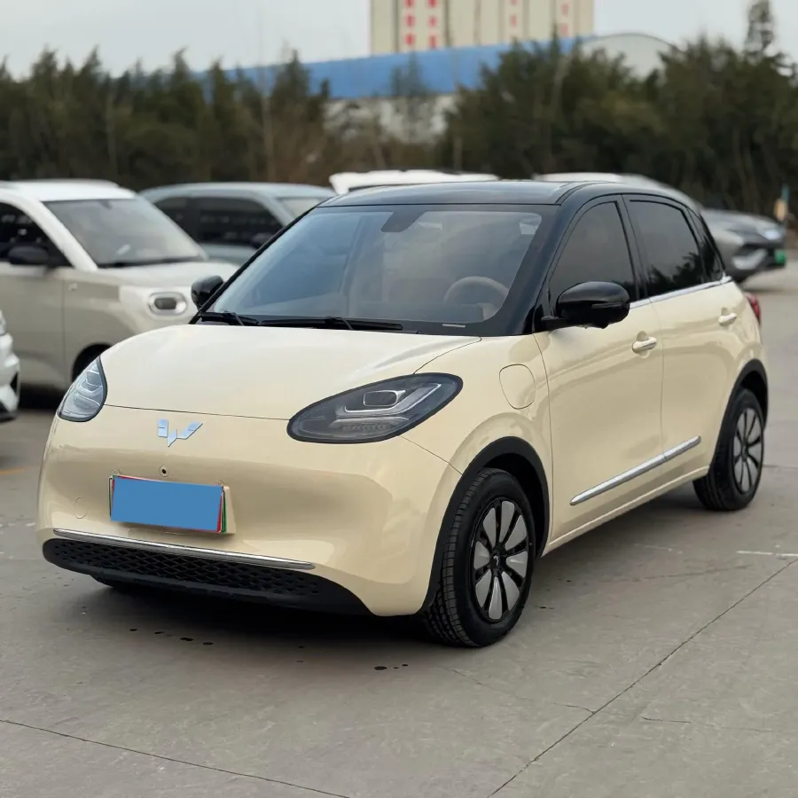 2025 WuLing BinGuo BEV,autocango,china used car exporter,china ev exporter,chinese used car exporter,chinese used ev exporter
