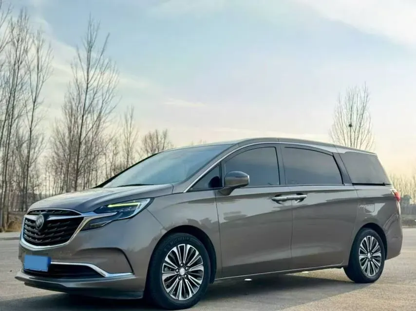 2020 Buick GL8 2.0T 237HP L4 9AT,autocango,china used car exporter,china ev exporter,chinese used car exporter,chinese used ev exporter
