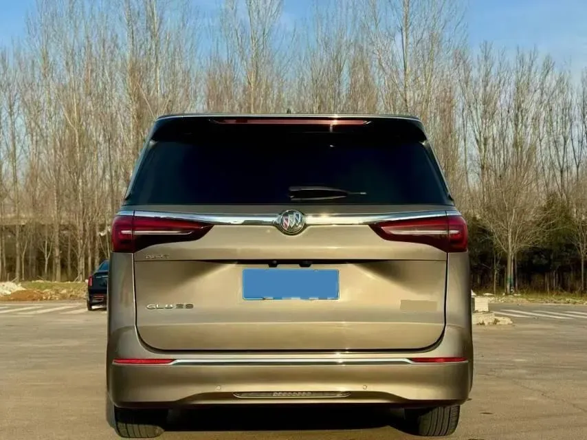 2020 Buick GL8 2.0T 237HP L4 9AT,autocango,china used car exporter,china ev exporter,chinese used car exporter,chinese used ev exporter