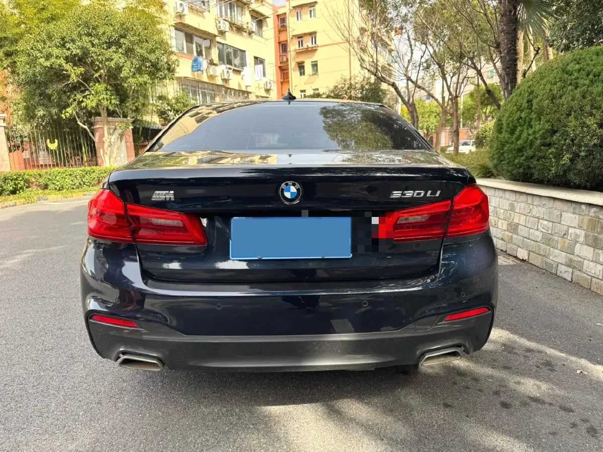 2020 BMW 5 Series 2.0T 252HP L4 8AT,autocango,china used car exporter,china ev exporter,chinese used car exporter,chinese used ev exporter