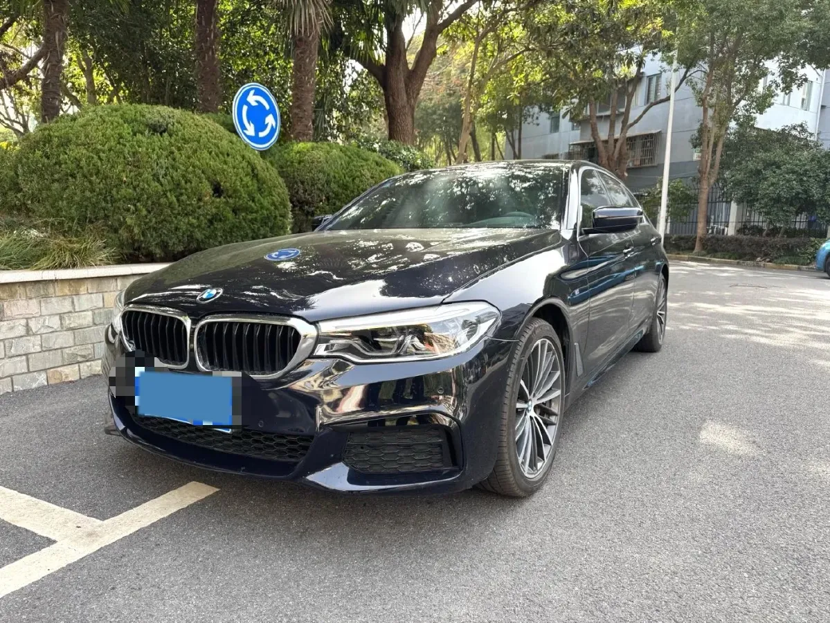 2020 BMW 5 Series 2.0T 252HP L4 8AT,autocango,china used car exporter,china ev exporter,chinese used car exporter,chinese used ev exporter