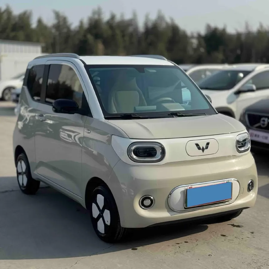 2024 WuLing HongGuang MINI EV BEV 17.3KWH,autocango,china used car exporter,china ev exporter,chinese used car exporter,chinese used ev exporter