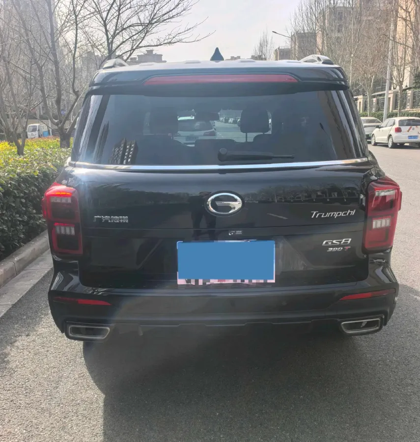 2021 GAC Trumpchi GS8 2.0T 252HP L4 6AT,autocango,china used car exporter,china ev exporter,chinese used car exporter,chinese used ev exporter