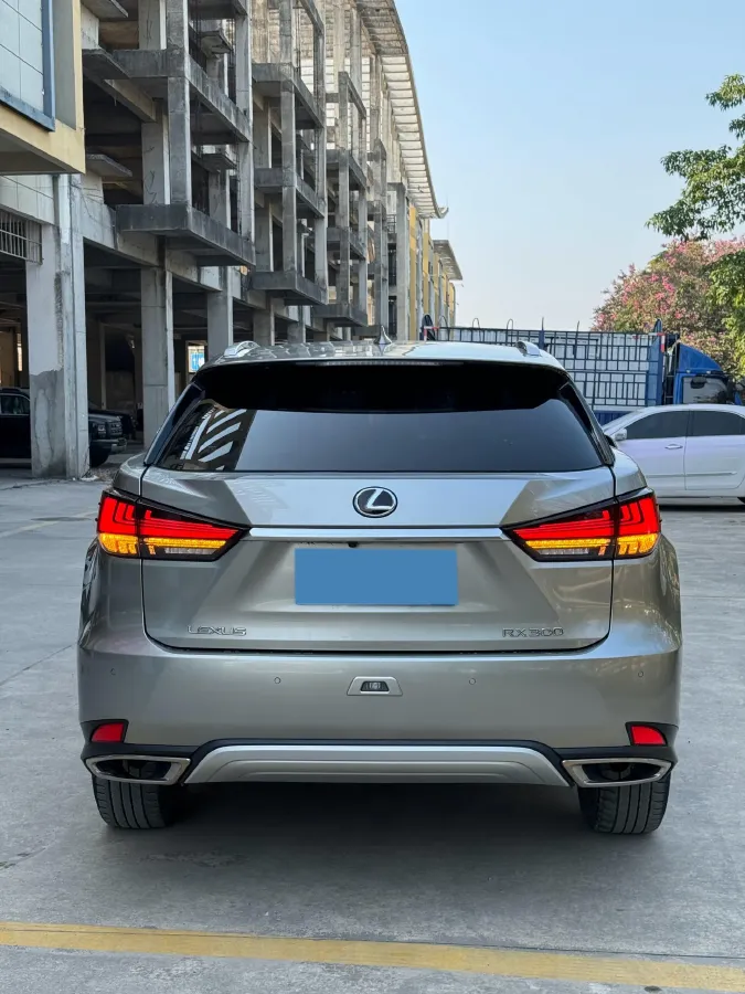 2020 Lexus RX 2.0T 231HP L4 6AT,autocango,china used car exporter,china ev exporter,chinese used car exporter,chinese used ev exporter