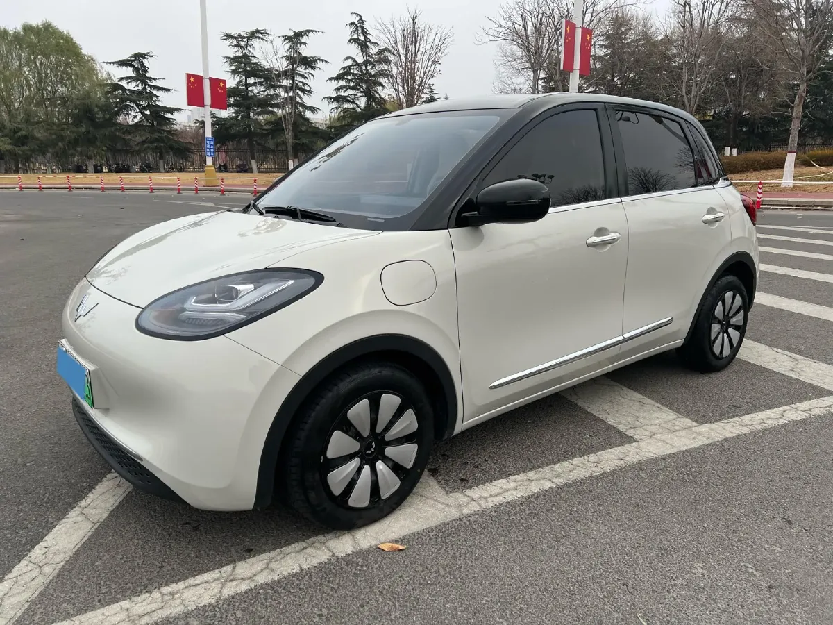 2023 WuLing BinGuo BEV 31.9KWH,autocango,china used car exporter,china ev exporter,chinese used car exporter,chinese used ev exporter