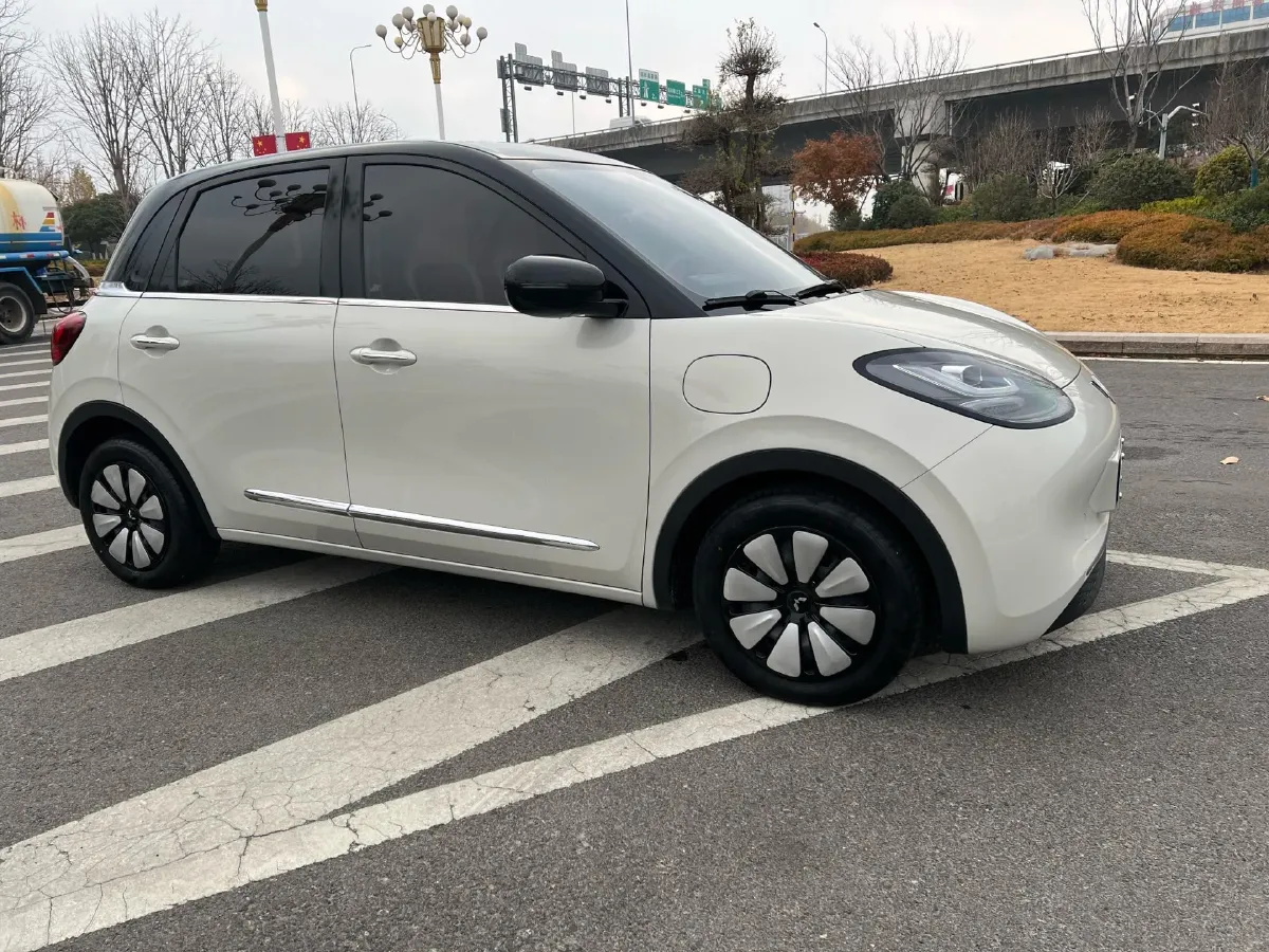 2023 WuLing BinGuo BEV 31.9KWH,autocango,china used car exporter,china ev exporter,chinese used car exporter,chinese used ev exporter