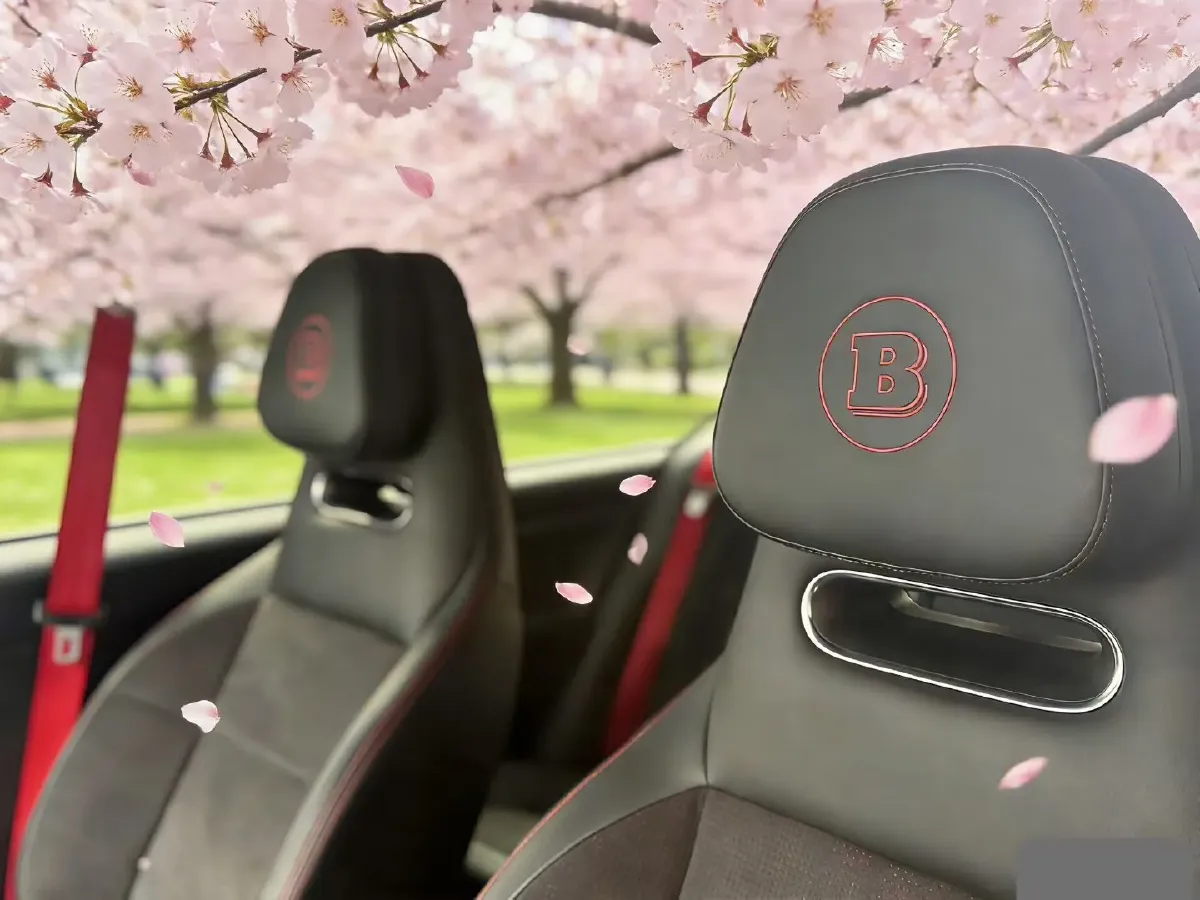 2024 Smart smart Elf 3 BEV 66KWH,autocango,china used car exporter,china ev exporter,chinese used car exporter,chinese used ev exporter