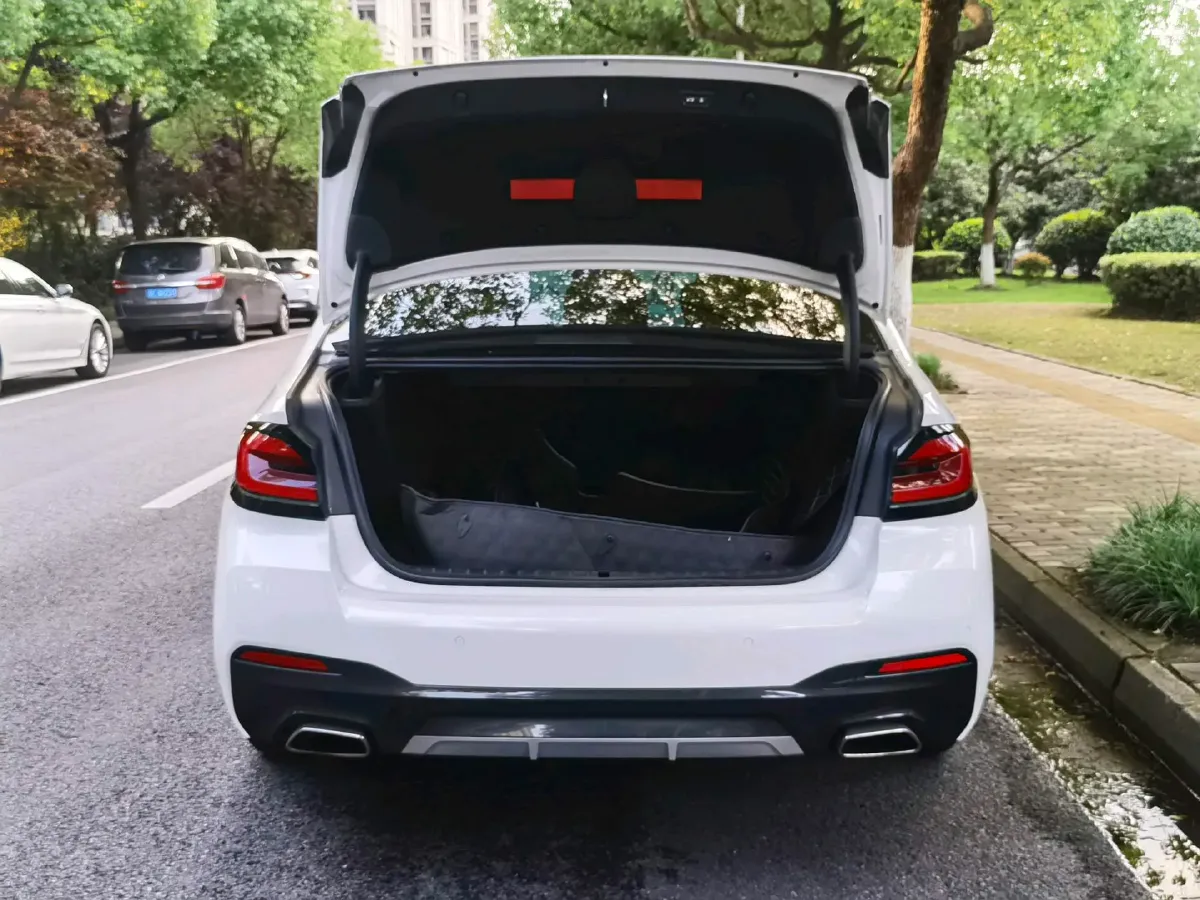 2022 BMW 5 Series 2.0T 184HP L4 8AT,autocango,china used car exporter,china ev exporter,chinese used car exporter,chinese used ev exporter