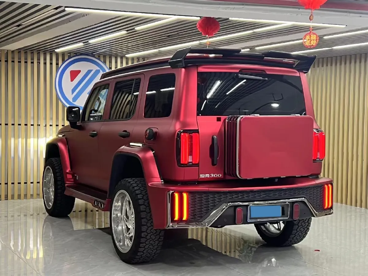 2024 Tank 300 2.0T 227HP L4 8AT,autocango,china used car exporter,china ev exporter,chinese used car exporter,chinese used ev exporter