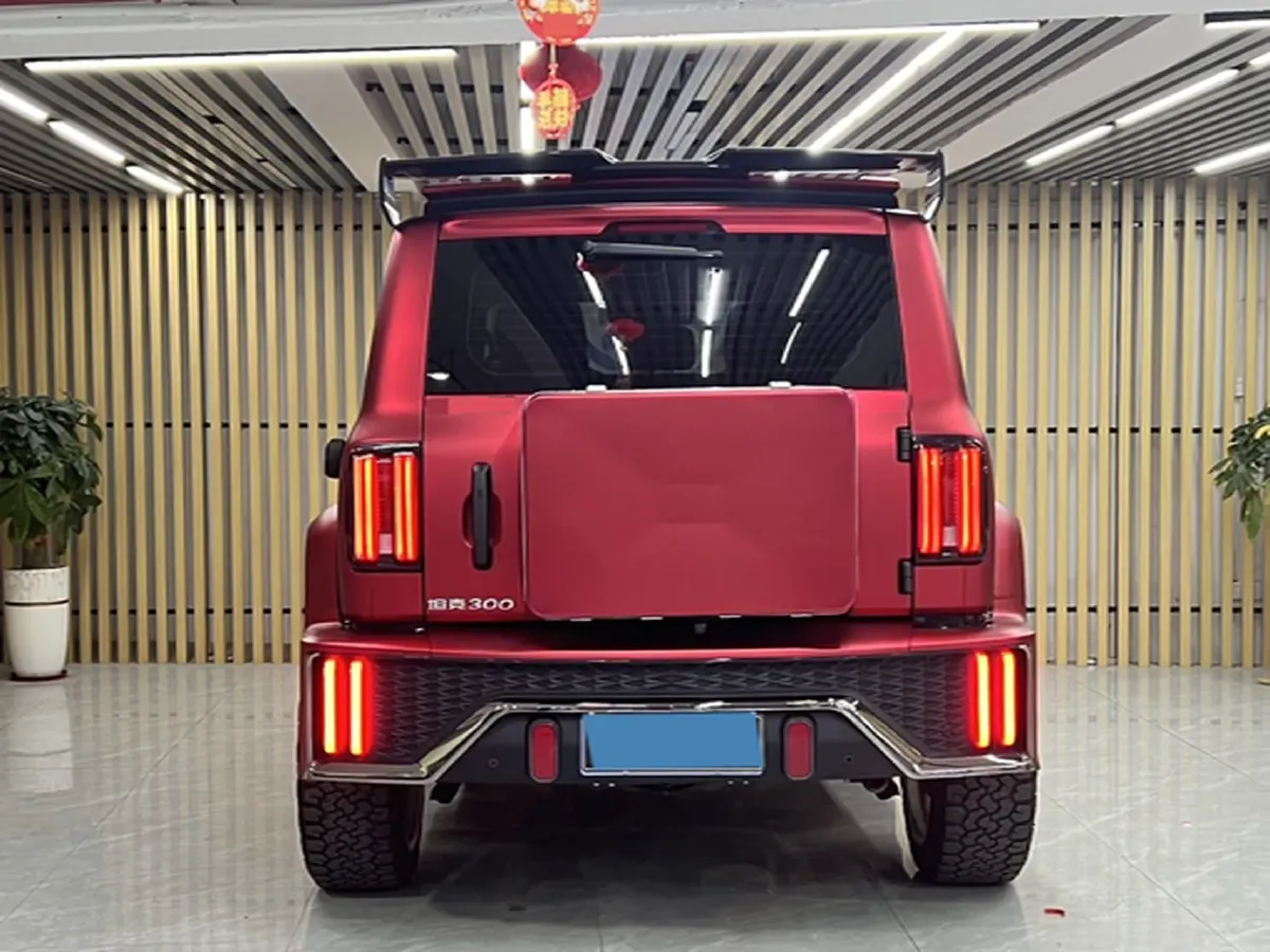 2024 Tank 300 2.0T 227HP L4 8AT,autocango,china used car exporter,china ev exporter,chinese used car exporter,chinese used ev exporter