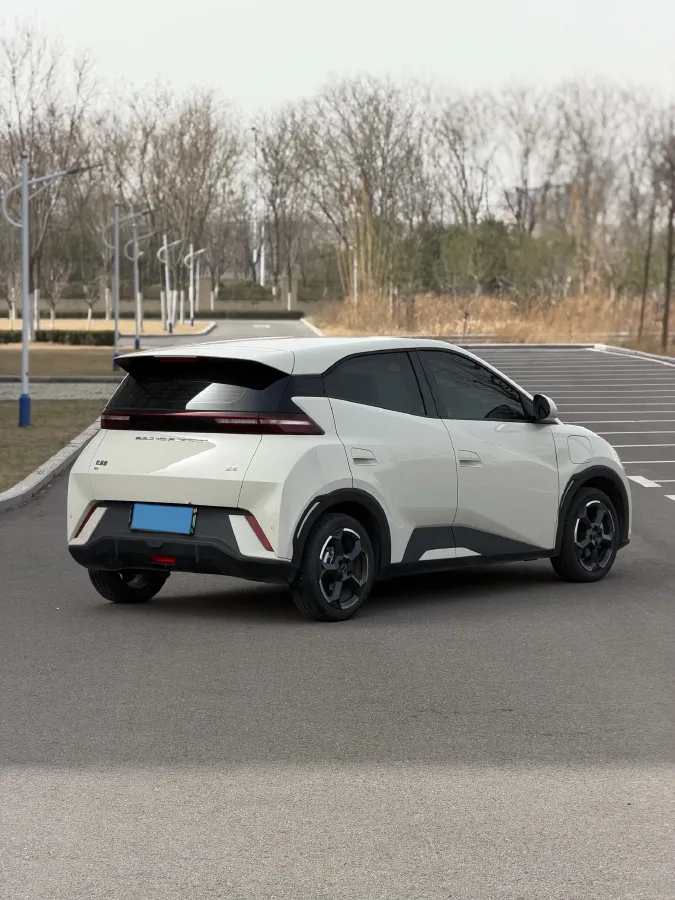 2024 BYD Seagull BEV 38.88KWH,autocango,china used car exporter,china ev exporter,chinese used car exporter,chinese used ev exporter