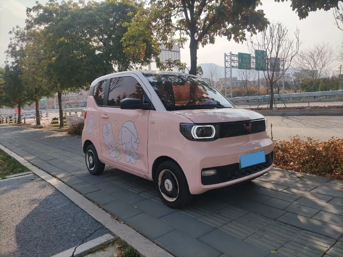 2021 WuLing HongGuang MINI EV BEV 13.9KWH,autocango,china used car exporter,china ev exporter,chinese used car exporter,chinese used ev exporter