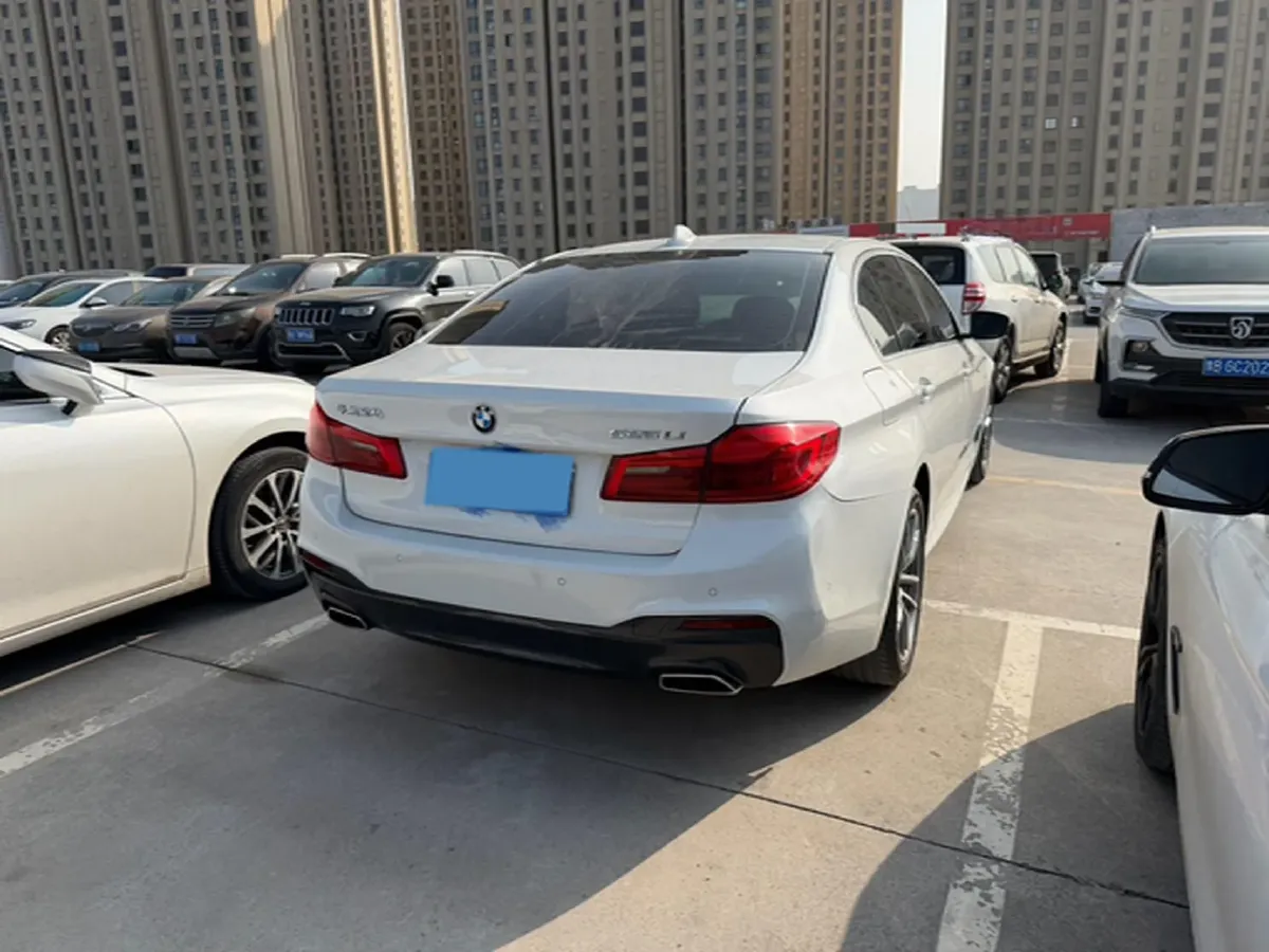 2020 BMW 5 Series 2.0T 184HP L4 8AT,autocango,china used car exporter,china ev exporter,chinese used car exporter,chinese used ev exporter