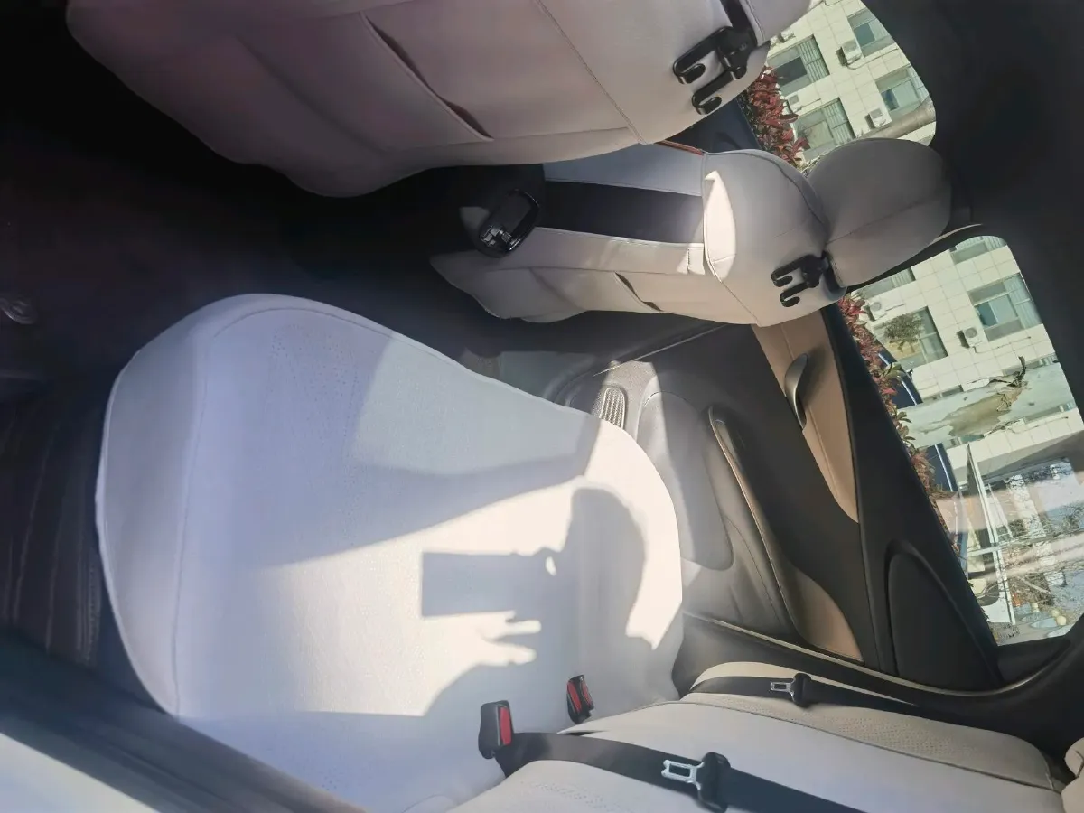 2025 BYD Dolphin BEV 45.12KWH,autocango,china used car exporter,china ev exporter,chinese used car exporter,chinese used ev exporter