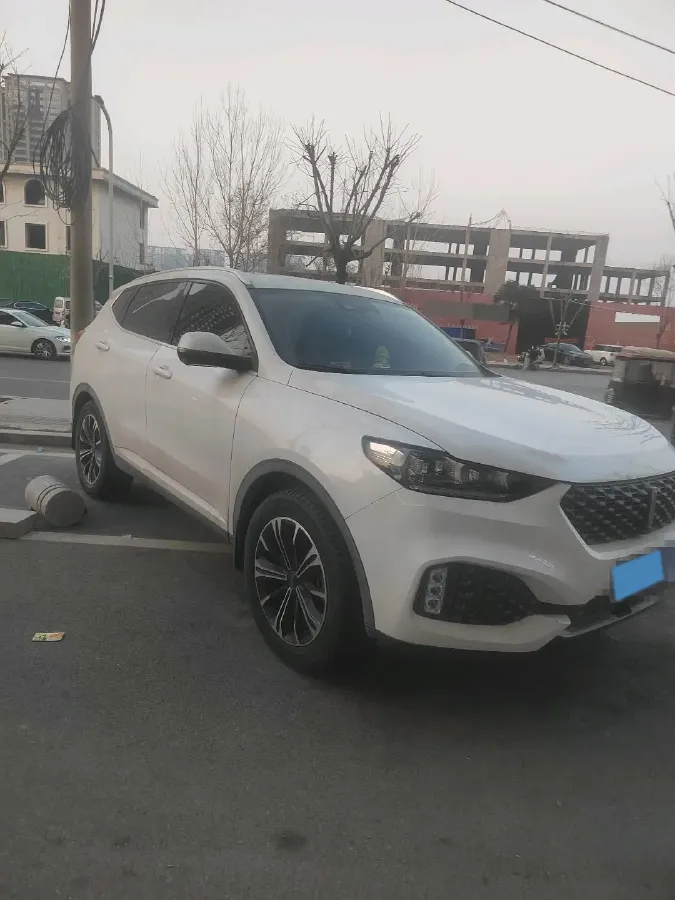 2019 WEY VV6 2.0T 224HP L4 7DCT,autocango,china used car exporter,china ev exporter,chinese used car exporter,chinese used ev exporter