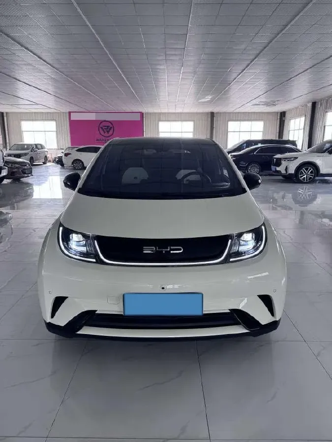 2023 BYD Dolphin BEV 44.928KWH,autocango,china used car exporter,china ev exporter,chinese used car exporter,chinese used ev exporter