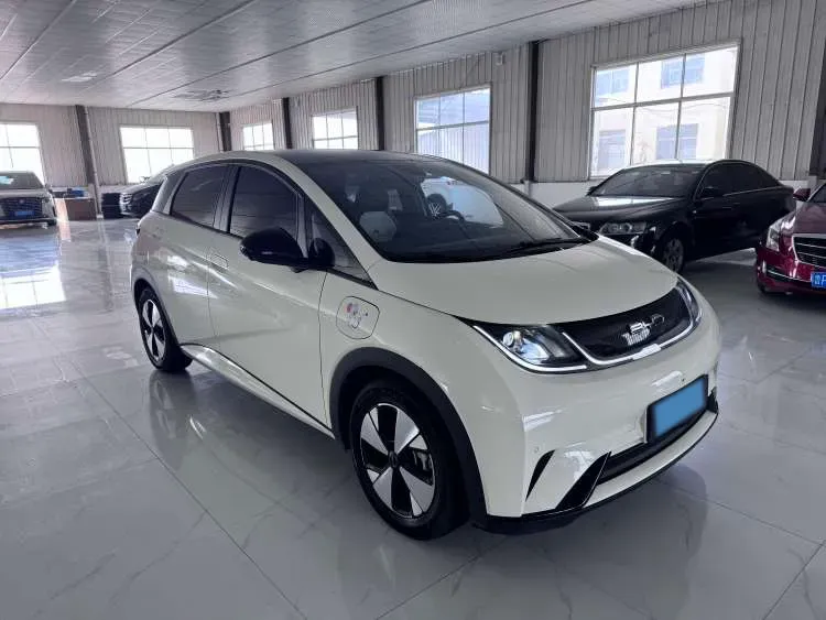 2023 BYD Dolphin BEV 44.928KWH,autocango,china used car exporter,china ev exporter,chinese used car exporter,chinese used ev exporter