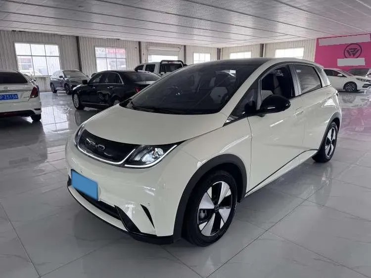 2023 BYD Dolphin BEV 44.928KWH,autocango,china used car exporter,china ev exporter,chinese used car exporter,chinese used ev exporter