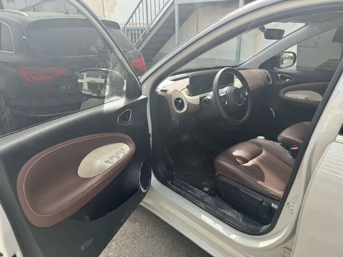 2023 WuLing BinGuo BEV 31.9KWH,autocango,china used car exporter,china ev exporter,chinese used car exporter,chinese used ev exporter