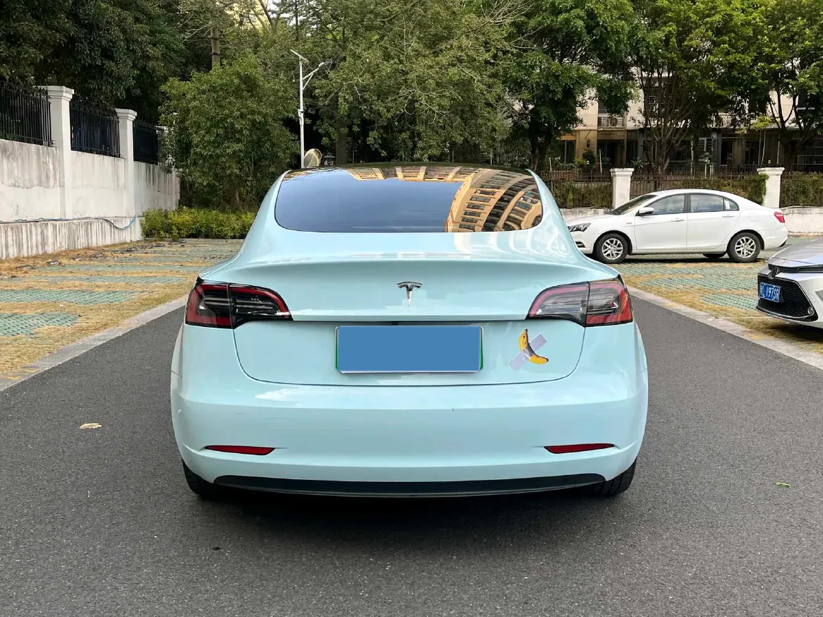 2021 Tesla Model 3 BEV 55KWH,autocango,china used car exporter,china ev exporter,chinese used car exporter,chinese used ev exporter